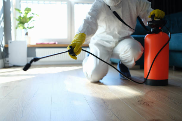 Reliable Odor Removal contractor in Virginia, IL by Crime Scene Cleaner Online